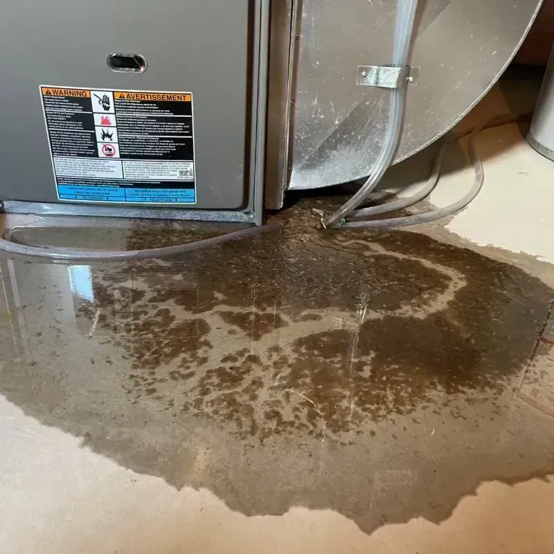 Appliance Leak Cleanup in Winchester, KY